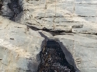 Arizona7