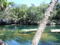 Cenote 2