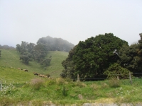 Irazu16